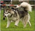 58795 IMG_5335